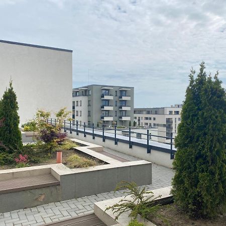 Astoria Apartment - Pet Friendly บราชอฟ ภายนอก รูปภาพ
